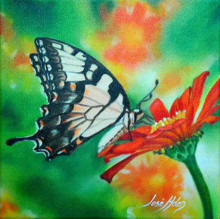 Mariposa y flor