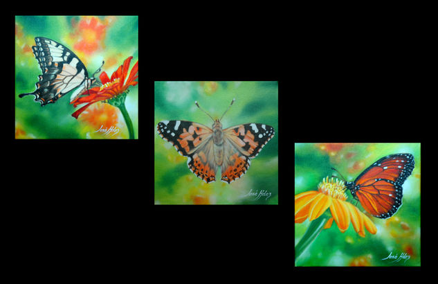 TRIO DE MARIPOSAS Oil Canvas Animals