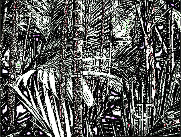 SELVA DE BAMBU GRIS