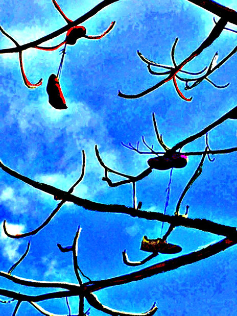Fruta extraña