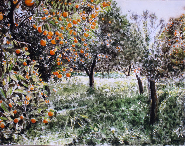 Mandarinas en Coín Watercolour Paper Landscaping