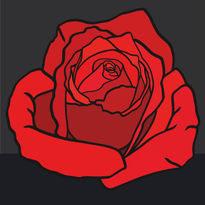 Rosa