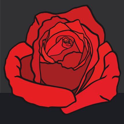 Rosa