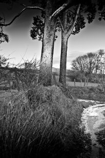 Sperrin Sentinels