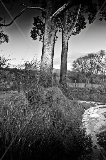 Sperrin Sentinels Naturaleza Blanco y Negro (Digital)