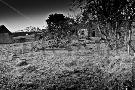 The Ghost Cottage