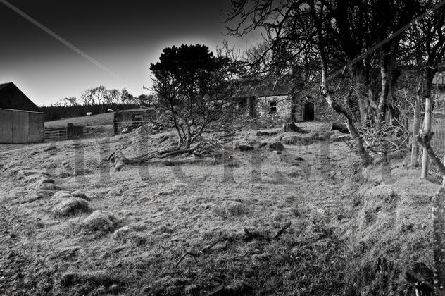 The Ghost Cottage
