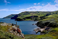 Harbour at Torr