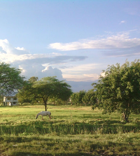 Paisaje Rural
