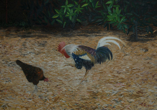 Gallo y gallina Oil Canvas Animals