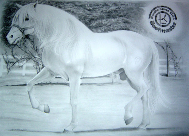 Caballo Rancho Santa Clara Graphite