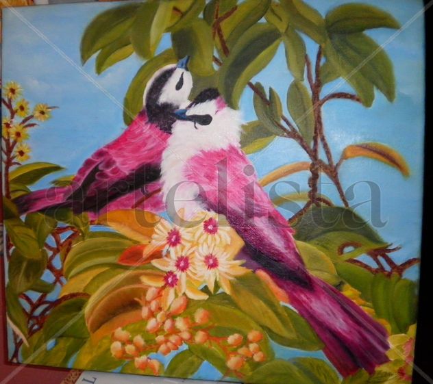 Hermosos Pájaros