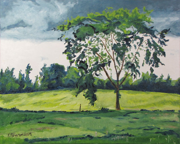 The Elm Oil Canvas Landscaping