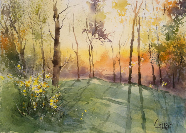 Bosque Amanecer Acuarela Papel Paisaje