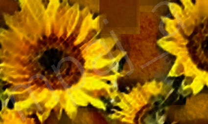 sunflowers