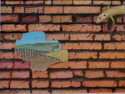Muro