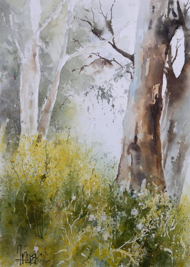 Arboleda Watercolour Paper Landscaping