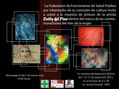 exposición mujeres zully del pino