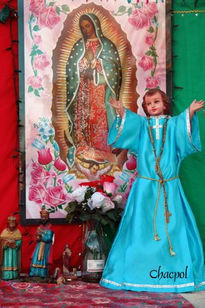 Guadalupe 032