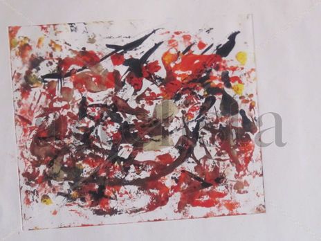 Pajaros rojos