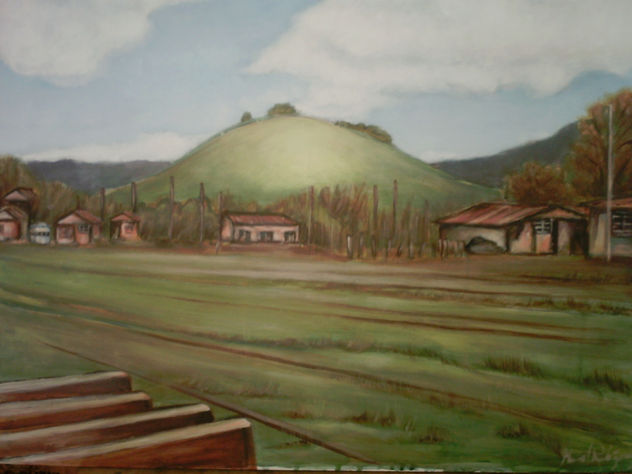cerro centinela,  Nico Orellana, constitución , chile.-