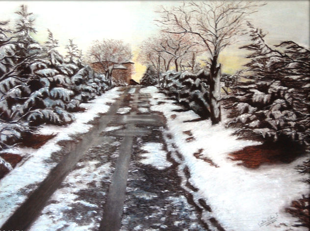 CAMINO NEVADO