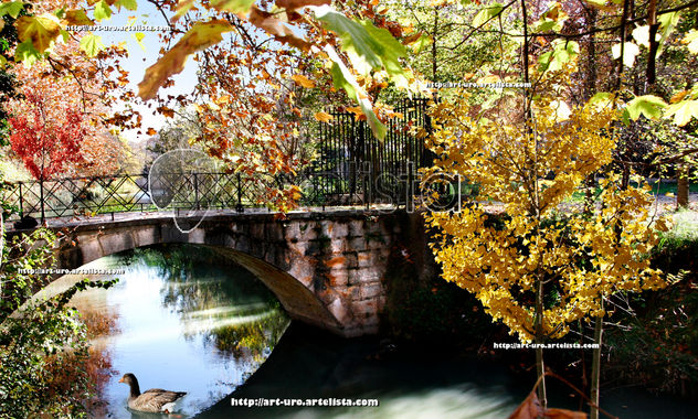 OTOÑO EN ARANJUEZ