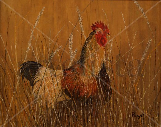 Gallo entre hiervas Oil Canvas Landscaping