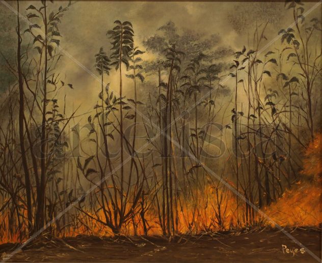 Sabana en llamas