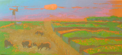 Campo argentino