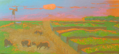 Campo argentino