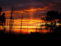 Nubes roxas