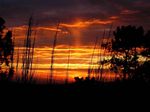 Nubes roxas Nature Color (Digital)