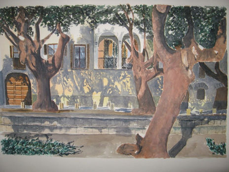 Patio con arboles