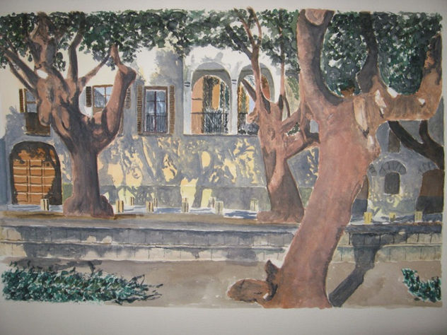 Patio con arboles