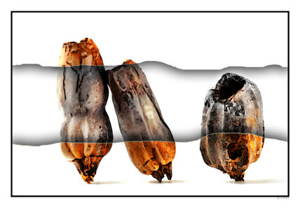 Calabazas 2