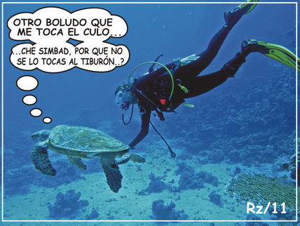 Tortuga