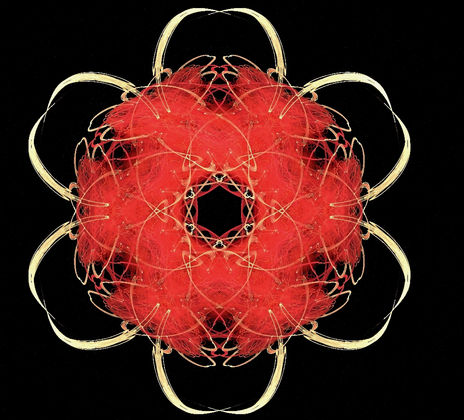 Flor ovillo