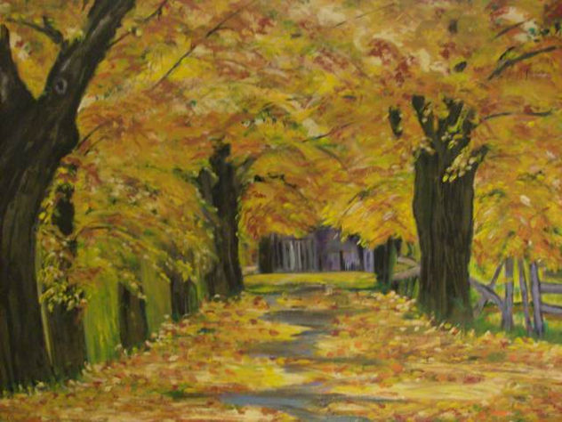 PASEO  INMERSO EN LOS COLORES OTOÑALES .