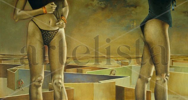 El deseo del cielo Oil Canvas Others