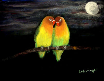 Agapornis in love