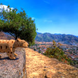 Dioses thumbnail 1