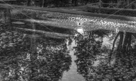 Los lenguajes del reflejo