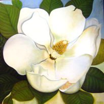 Aromas de  magnolia