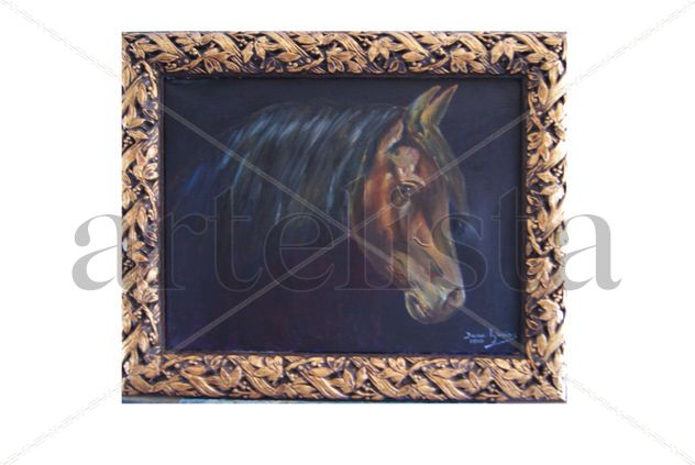 caballo1