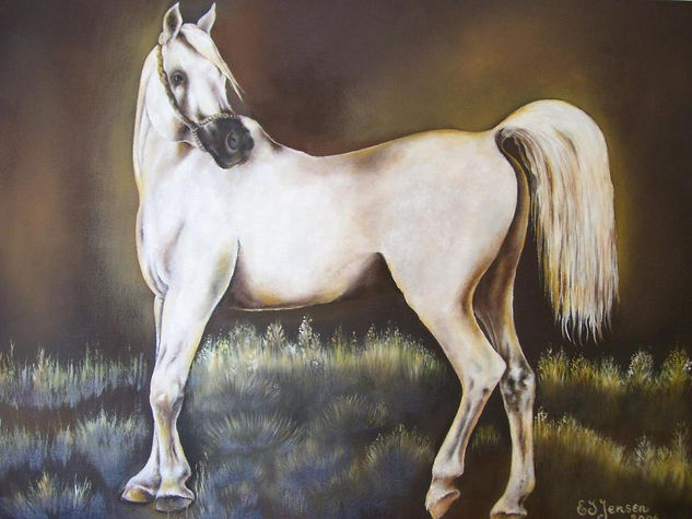 Caballo árabe Oil Canvas Animals