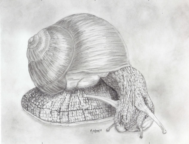 caracol Graphite