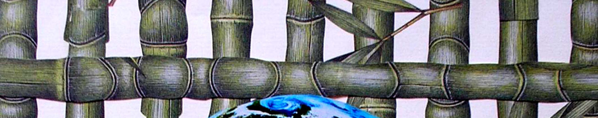 Imagen de portada