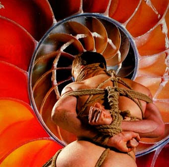 Espiralis