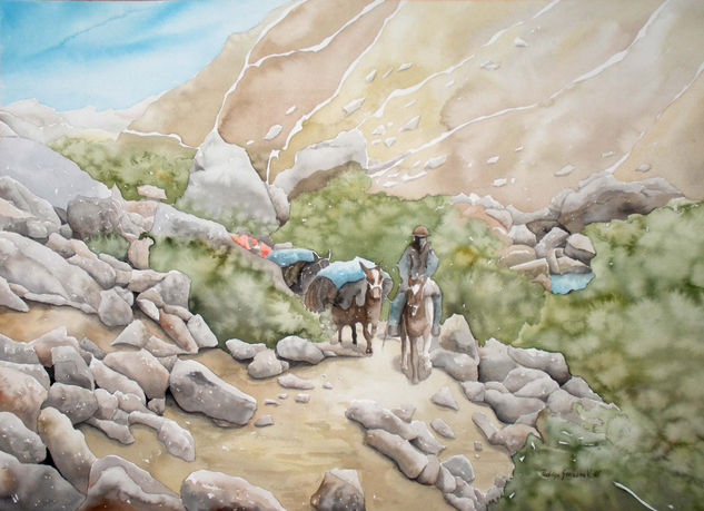 Tropero del altiplano Watercolour Paper Landscaping